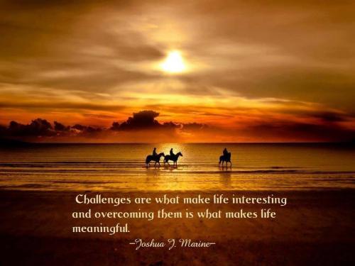 Challenges are what makes life interesting,
and overcoming them is what makes life meaningful.