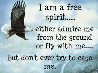 The Freedom to Fly