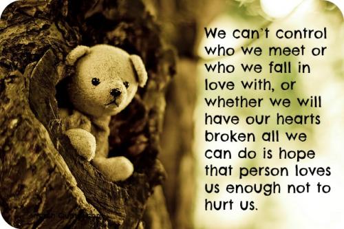 We can't control who we meet or who we fall in love with, or whether we will have our hearts broken all we can do is hope that person loves us enough not to hurt us.