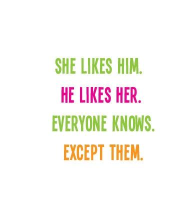 She likes him. He likes her. Everyone knows. Except them.