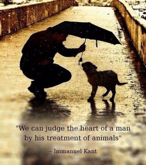 We can judge the heart of a man by his treatment of animals.