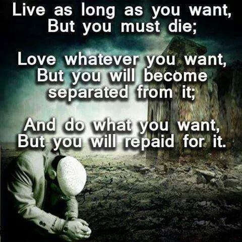 Live as long as you want, but you must die; Love whatever you want, but you will become separated from it; And do what you want but you will repaid for it...