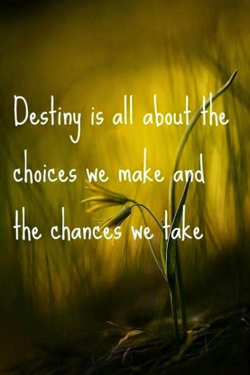 Destiny is all about the choices we make and the chances we take.