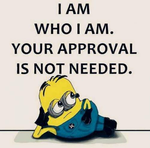 I am who I am. Your approval is not needed.