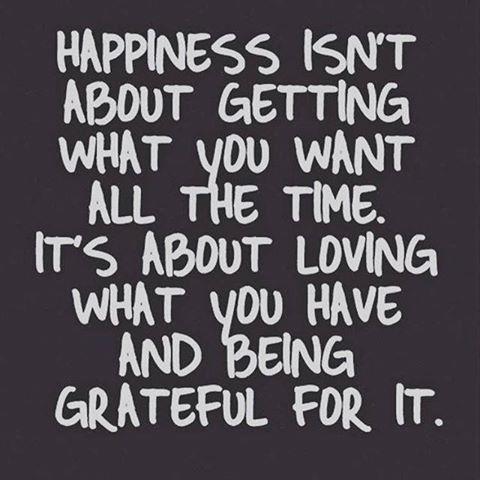 Happiness isn't about getting what you want all the time. It's about loving what you have and being grateful for it.