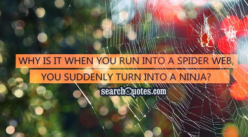 Why is it when you run into a spider web, you suddenly turn into a ninja?