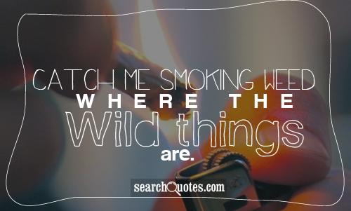 Catch me smoking weed where the Wild things are.