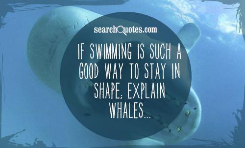 If swimming is such a good way to stay in shape; Explain whales...