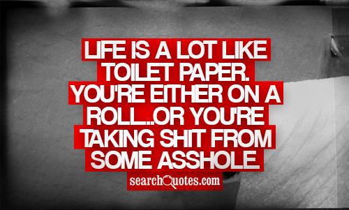 Life is a lot like toilet paper. You're either on a roll...or you're taking shit from some asshole.