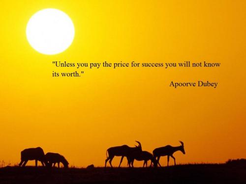 Unless you pay the price for success you will not know its worth.